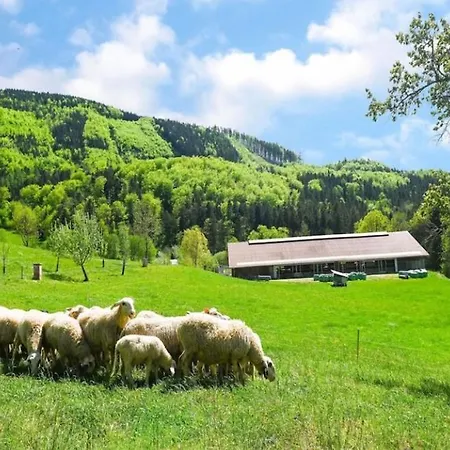 Apartman Loftartige In Mit Schwimmteich Scheibbs