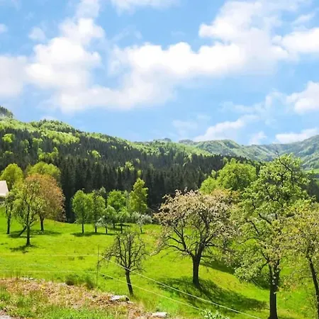 Loftartige In Mit Schwimmteich Scheibbs