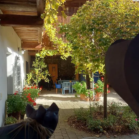 Apartman Loftartige In Mit Schwimmteich Scheibbs