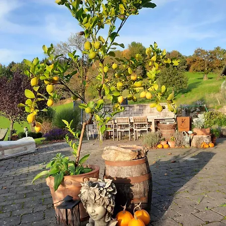 Loftartige In Mit Schwimmteich Scheibbs