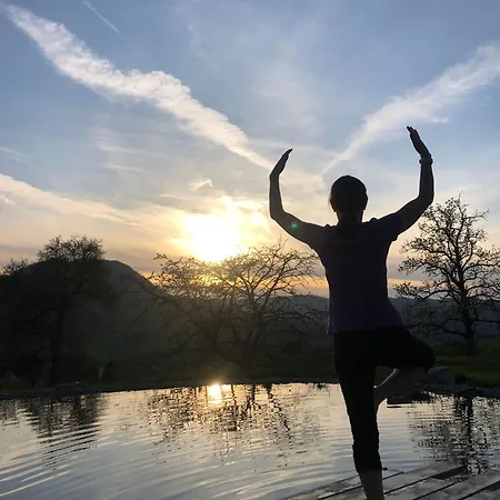 Loftartige In Mit Schwimmteich Apartman