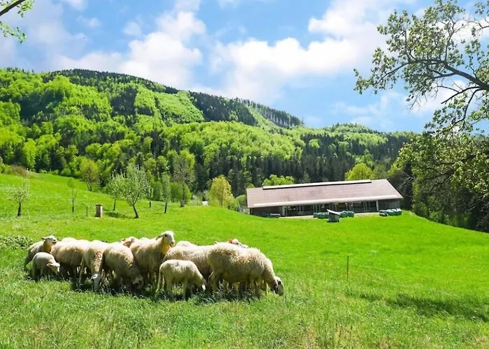 Appartement Loftartige In Mit Schwimmteich Scheibbs