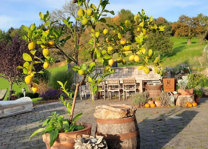 Loftartige In Mit Schwimmteich Scheibbs